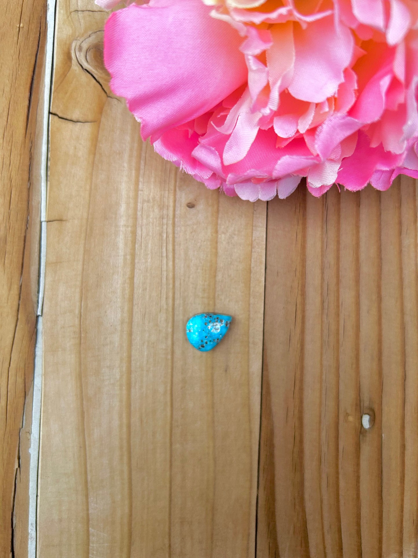 Blue Bird Turquoise Cabs
