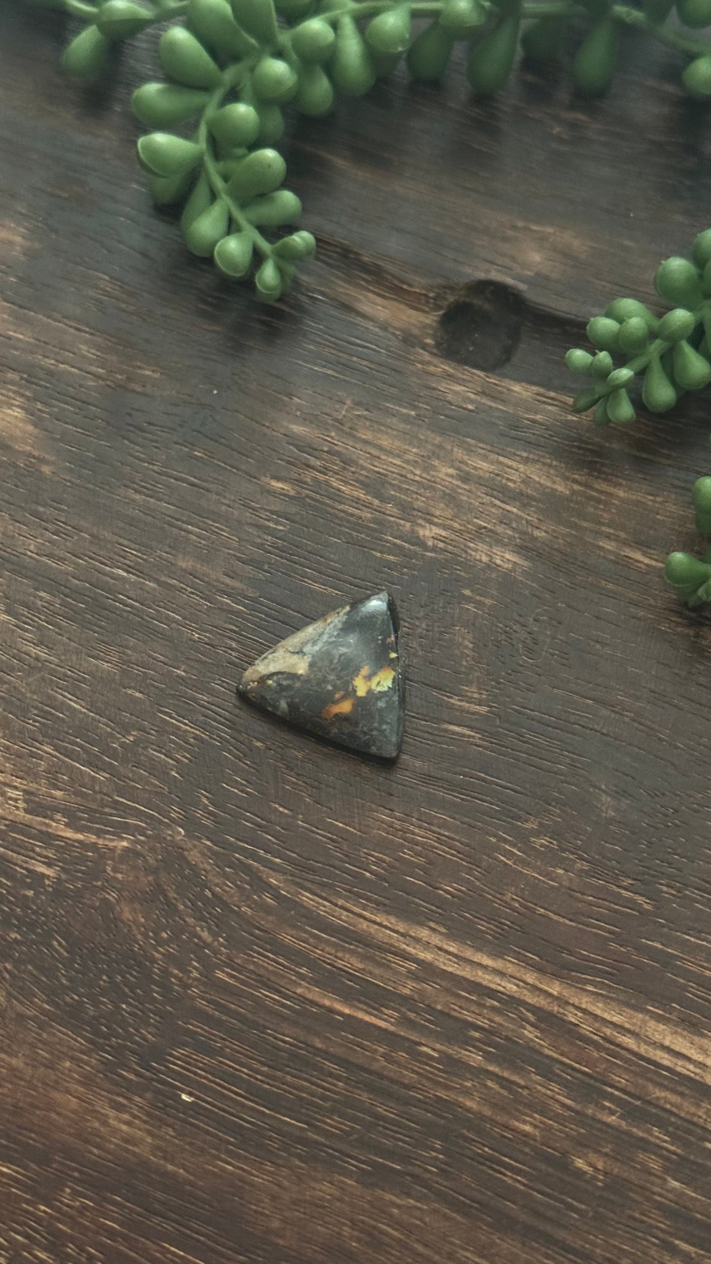 Black Jack Turquoise Cab