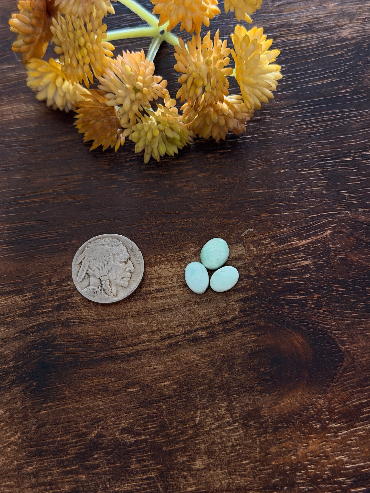 Paloma Variscite Cabs