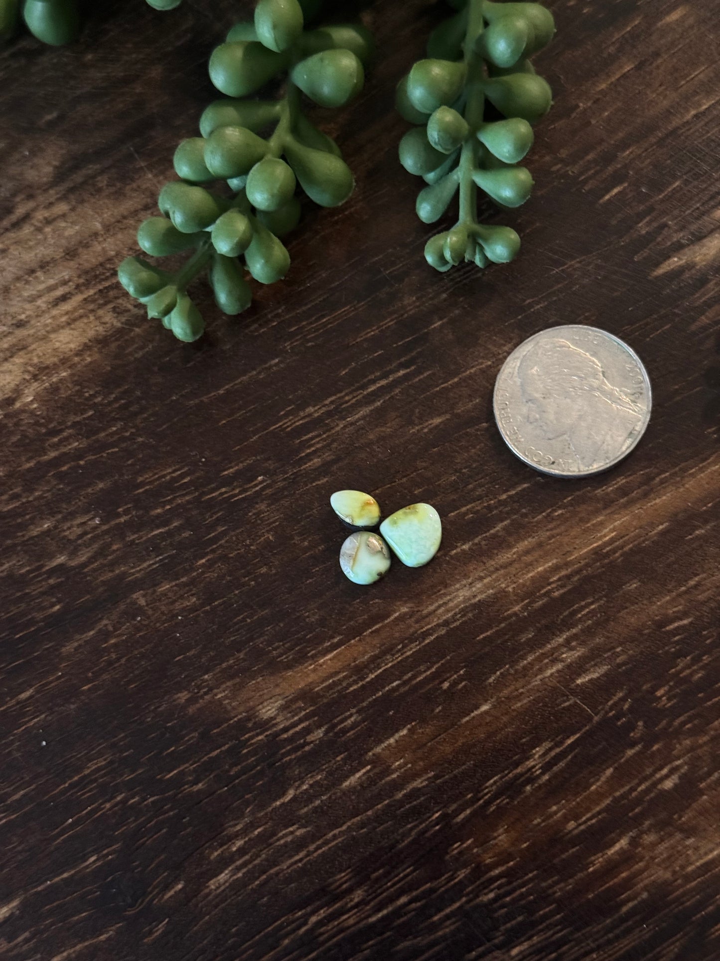 Palomino Variscite Cabs