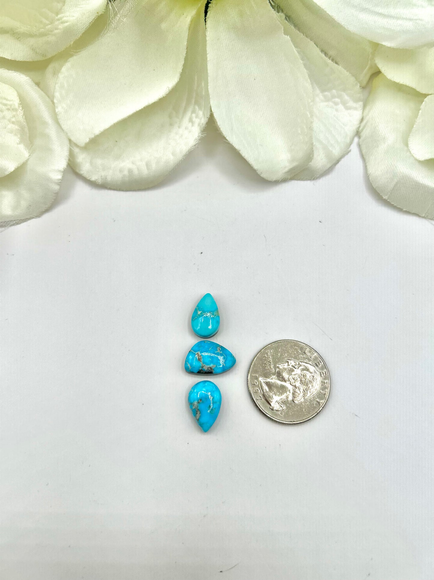 Blue Ridge Turquoise Cabs