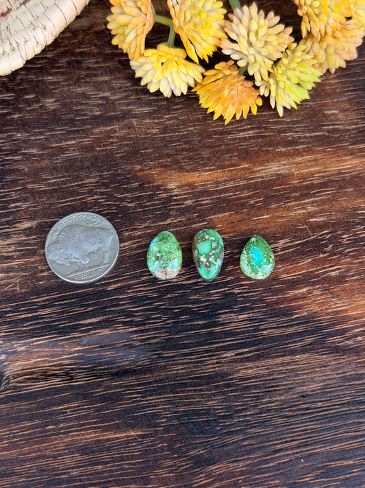 Sonoran Mountain Turquoise Cabs