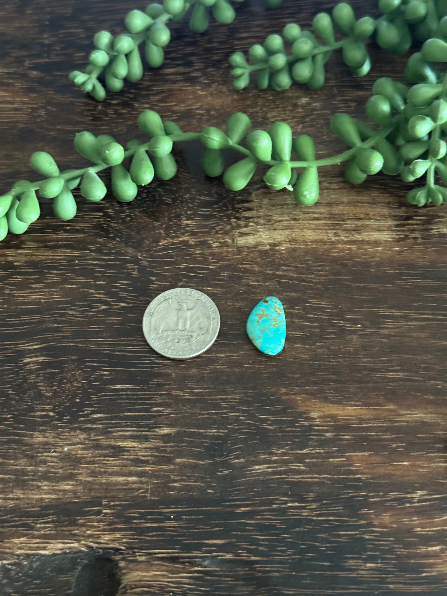 Kingman Turquoise Cab