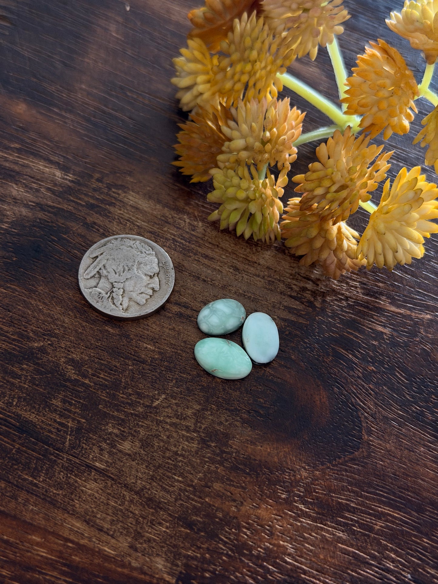 Paloma Variscite Cabs