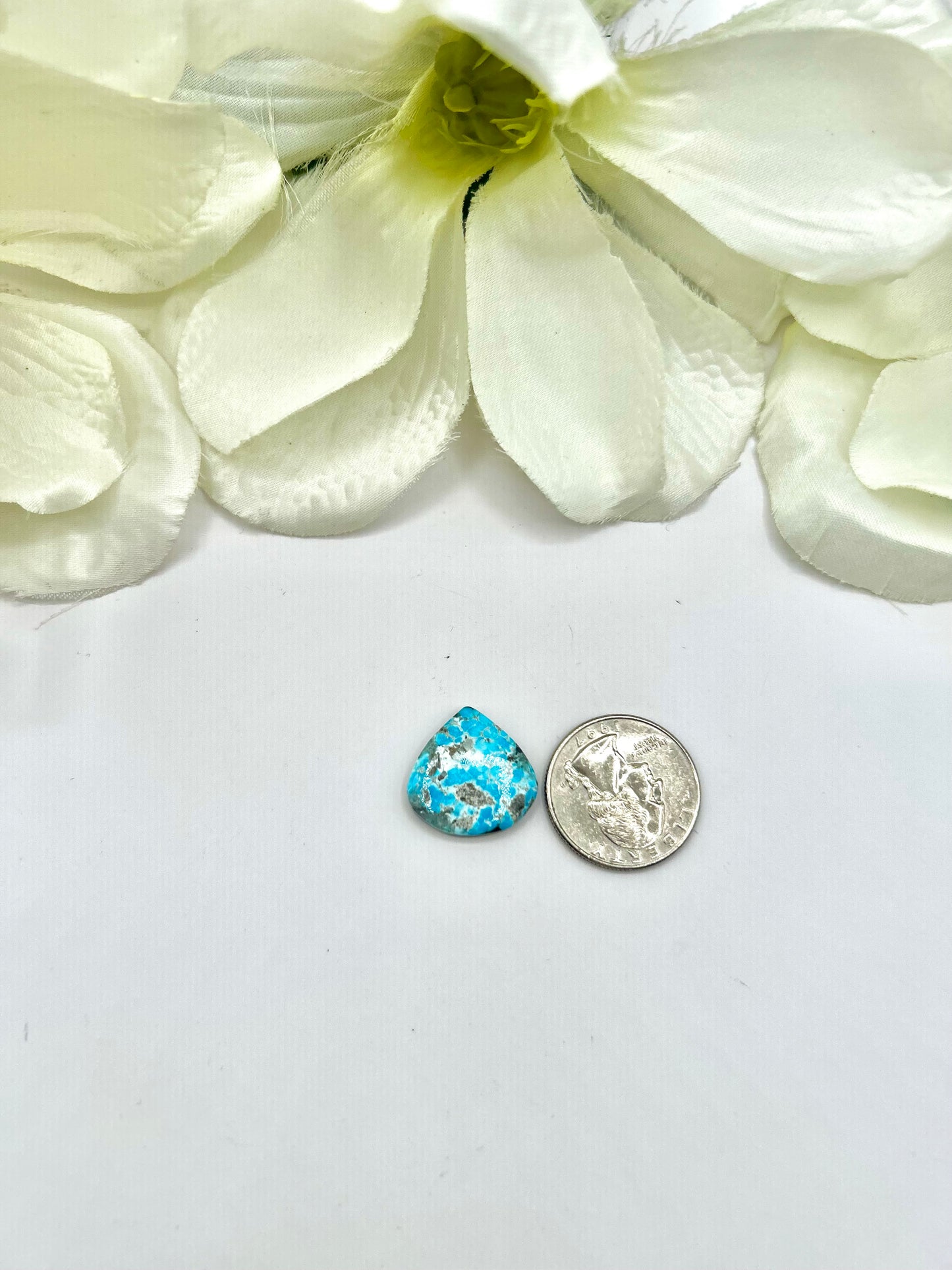 Blue Ridge Turquoise Cabs