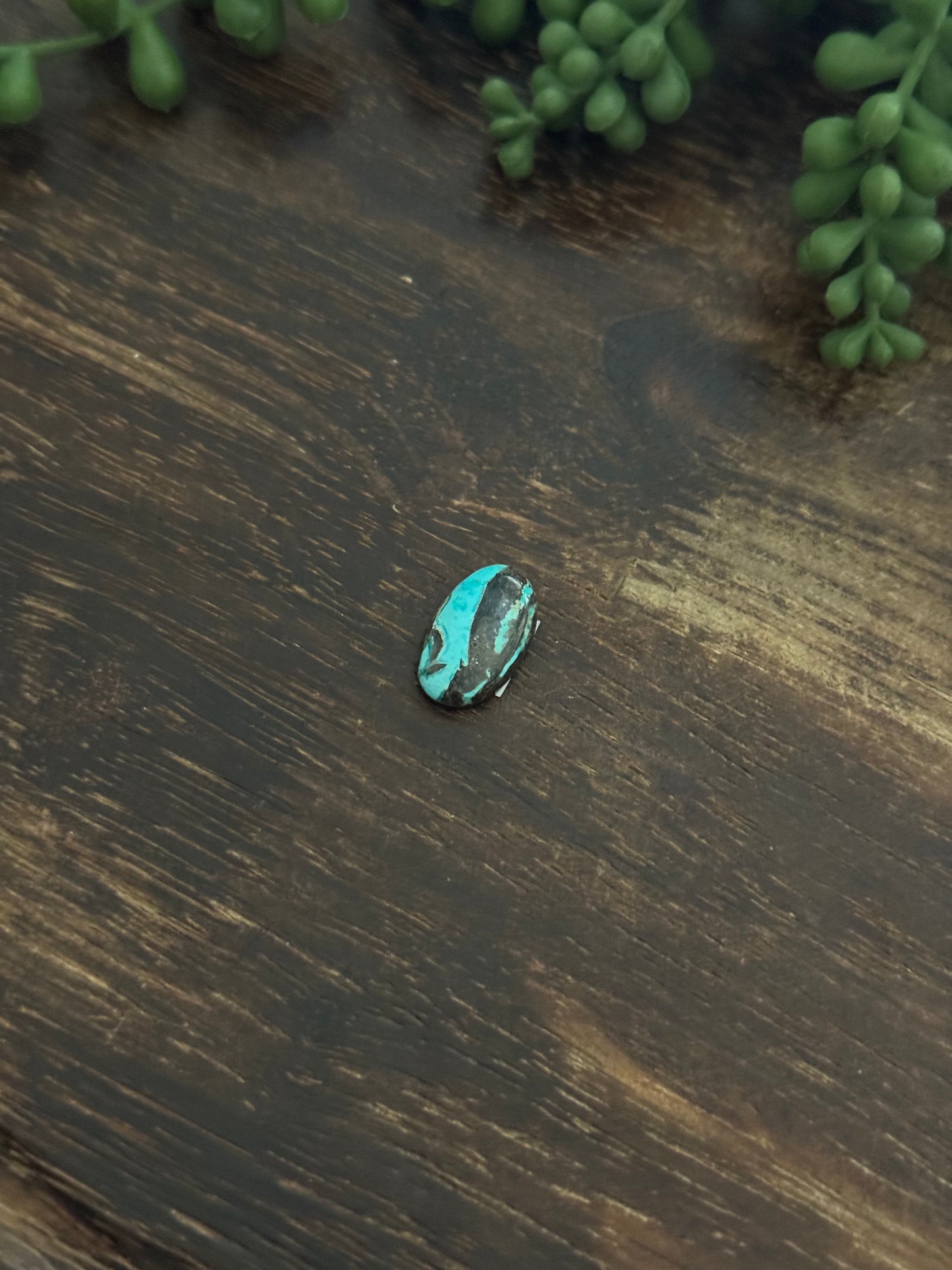 Black Jack Turquoise Cab