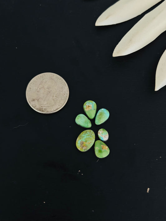 Natural Sonoran Gold Turquoise Cabs