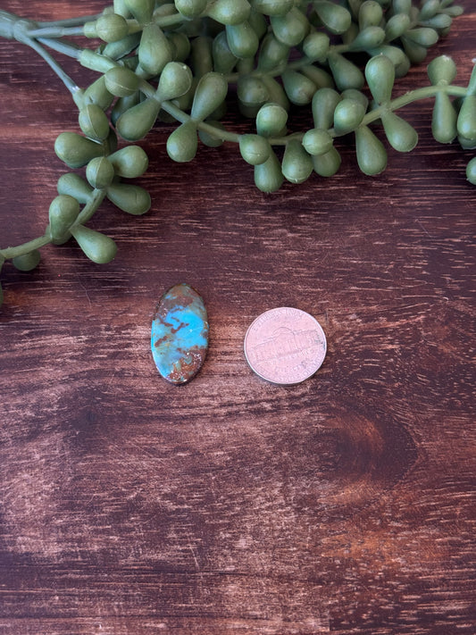 Kingman Turquoise Cab