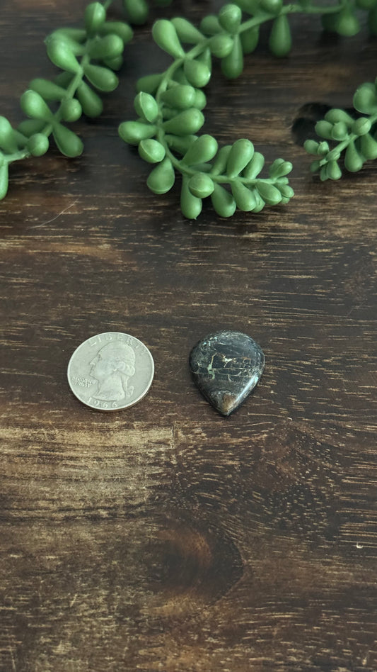 Black Jack Turquoise Cab