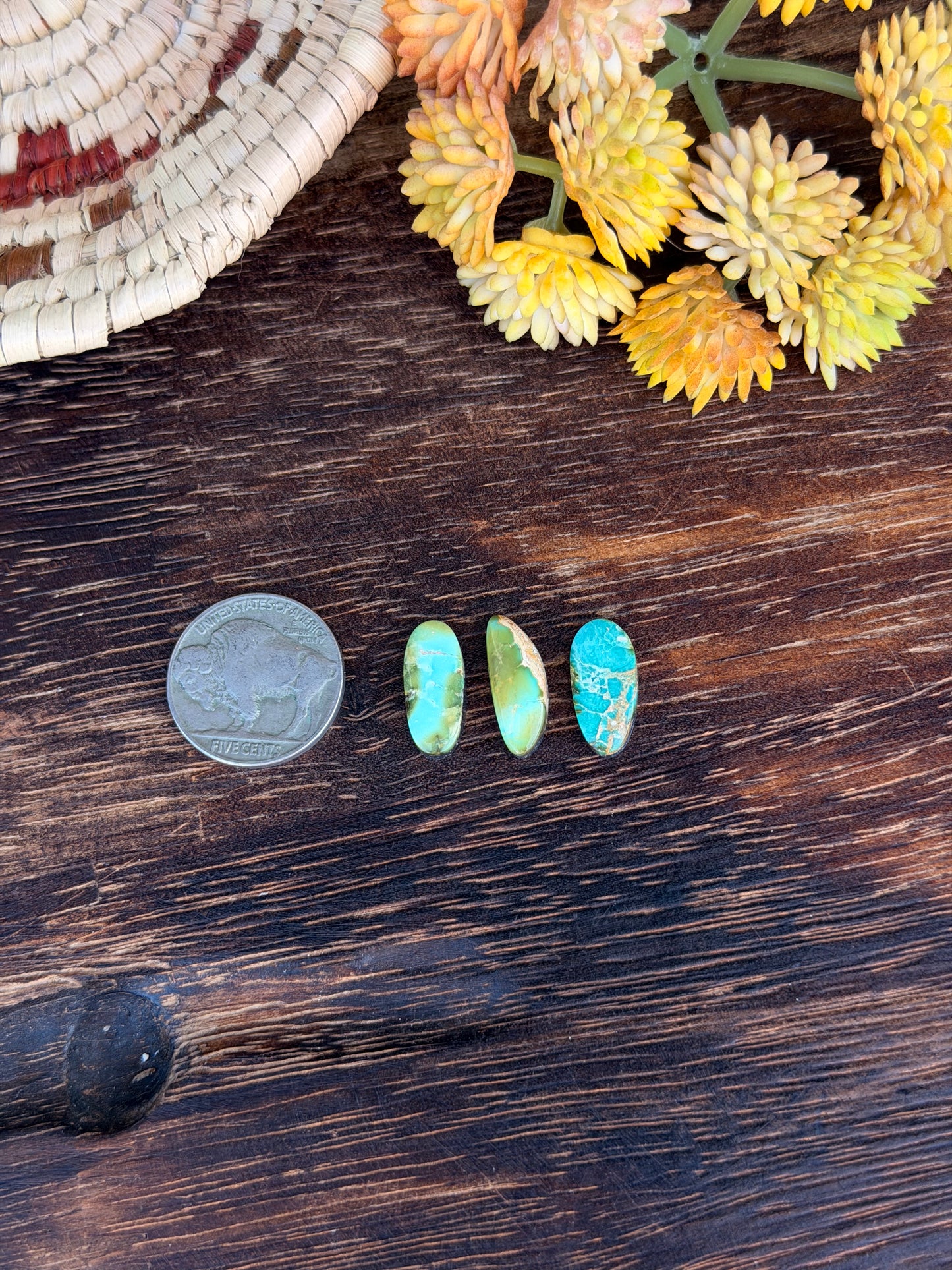 Sonoran Mountain Turquoise Cabs