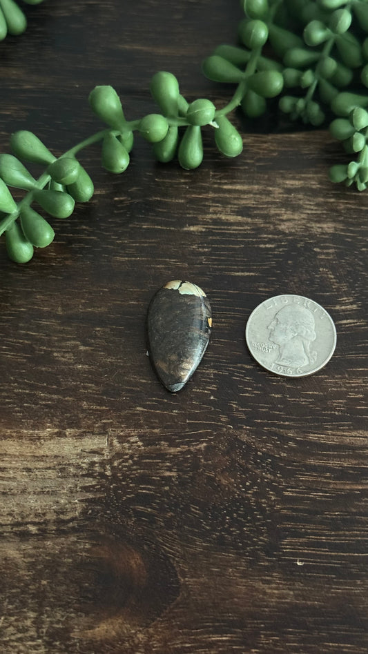 Black Jack Turquoise Cab