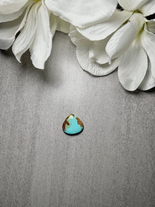 Kingman Turquoise Cab