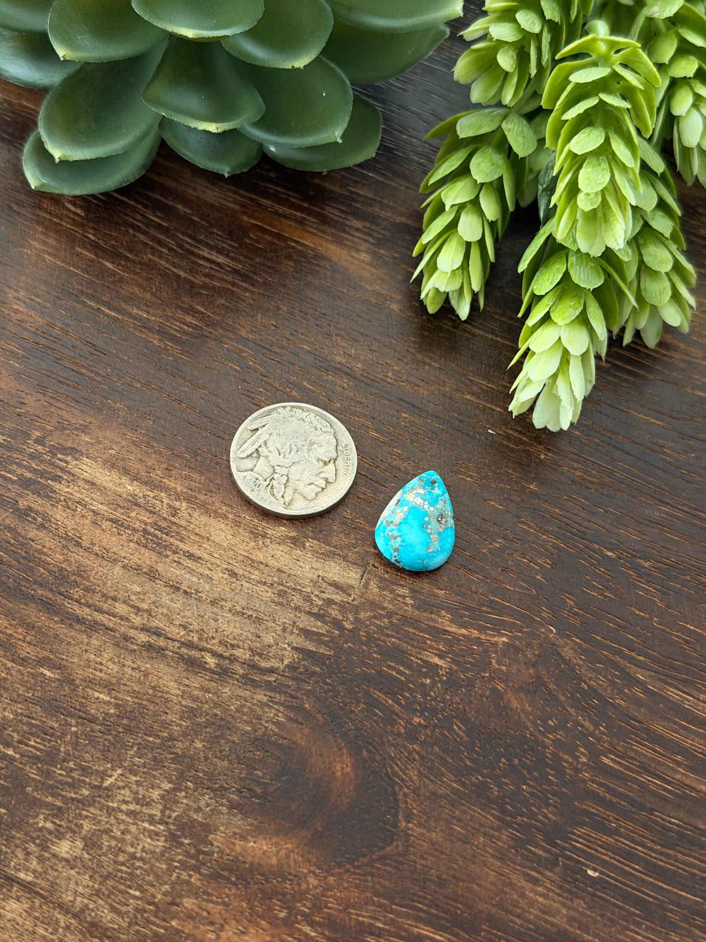 Blue Bird Turquoise Cab