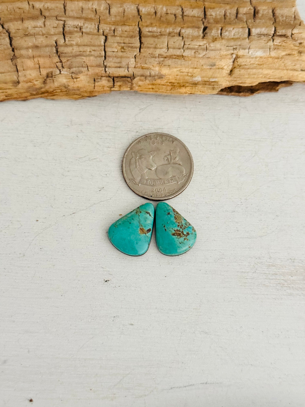 Natural Kings Manassa Turquoise Cabs