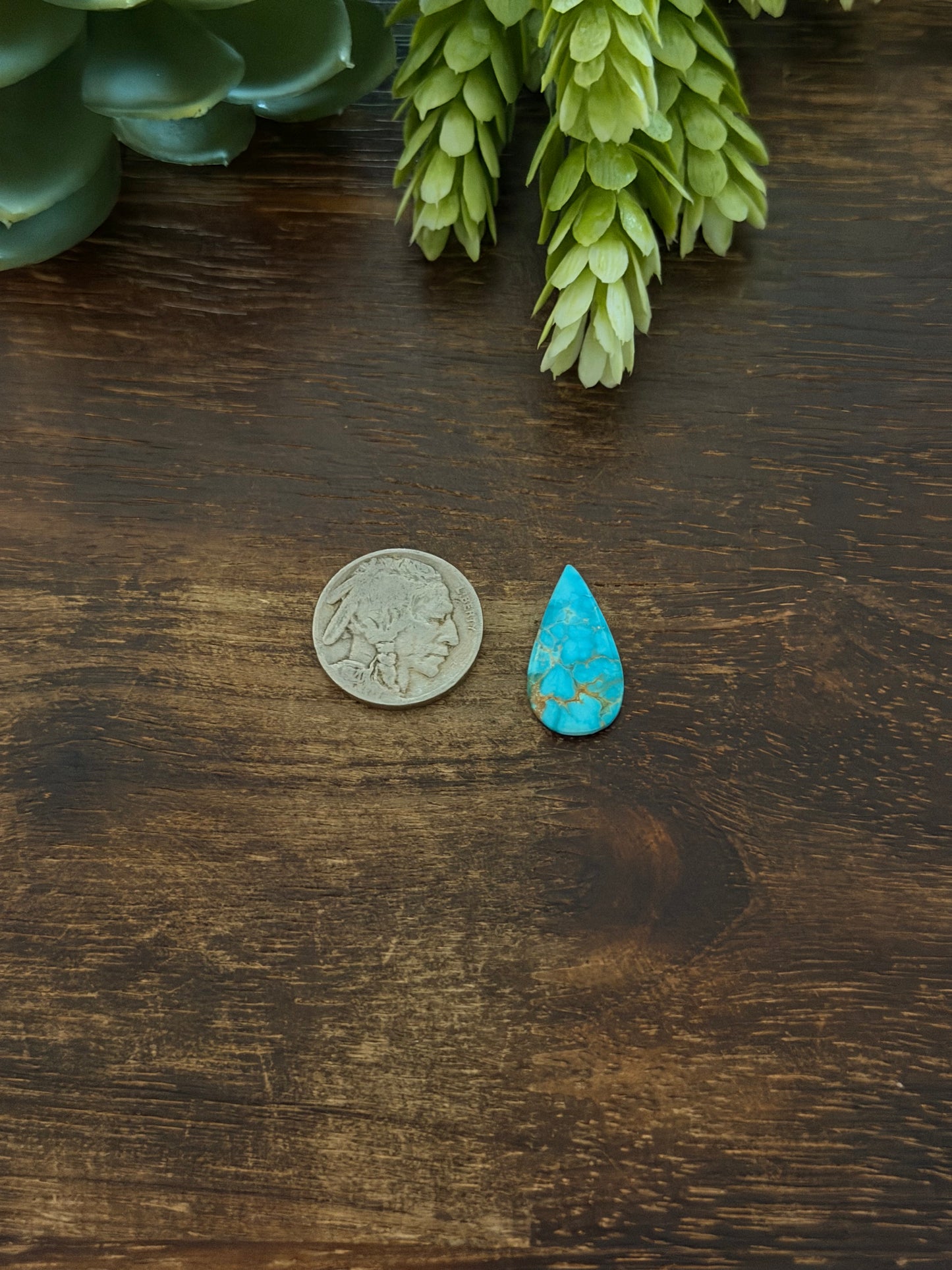 Blue Bird Turquoise Cab