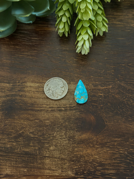 Blue Bird Turquoise Cab