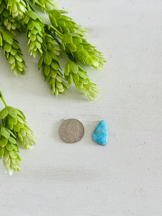 Blue Bird Turquoise Cab