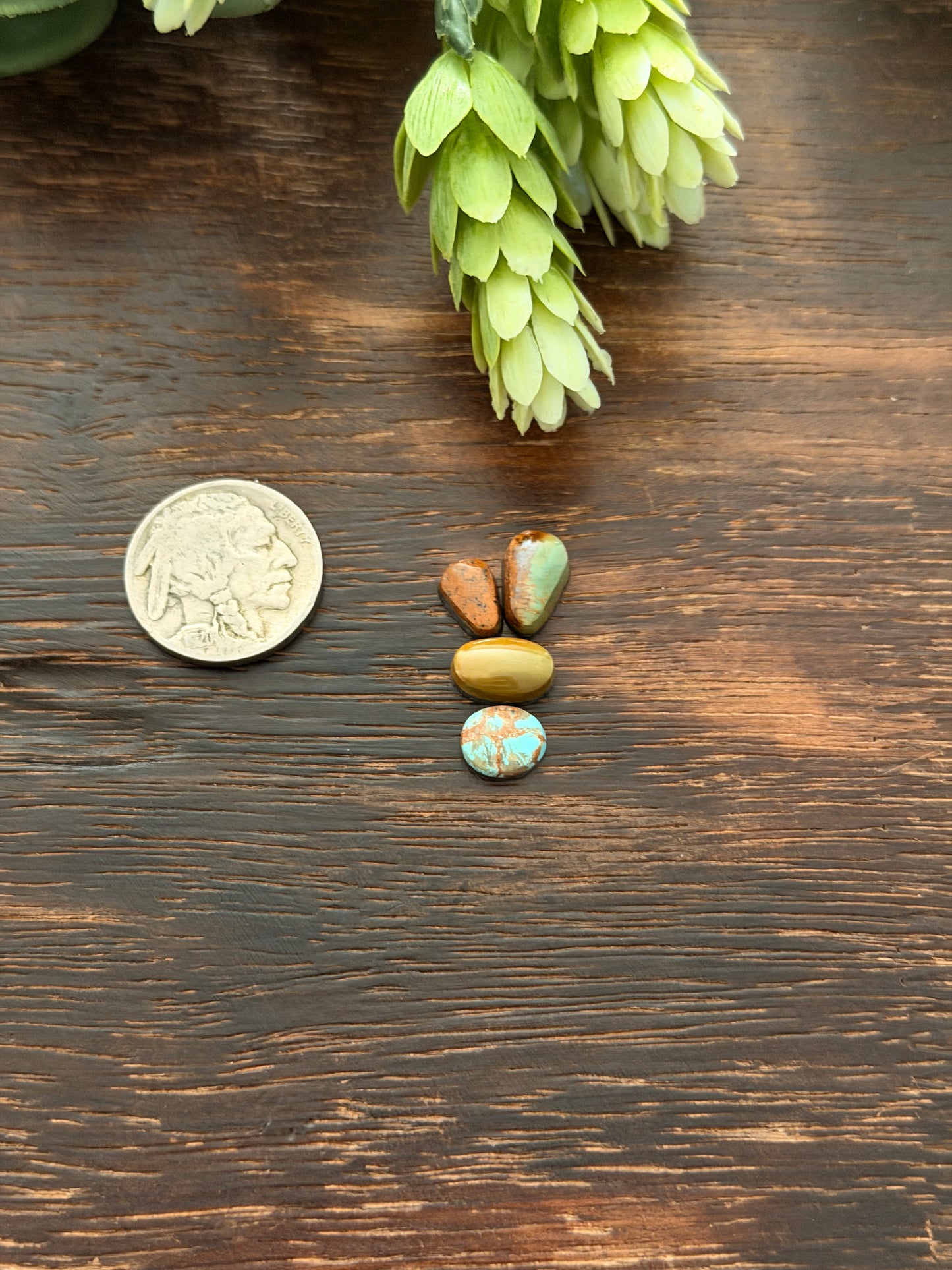 Evans Turquoise Cabs