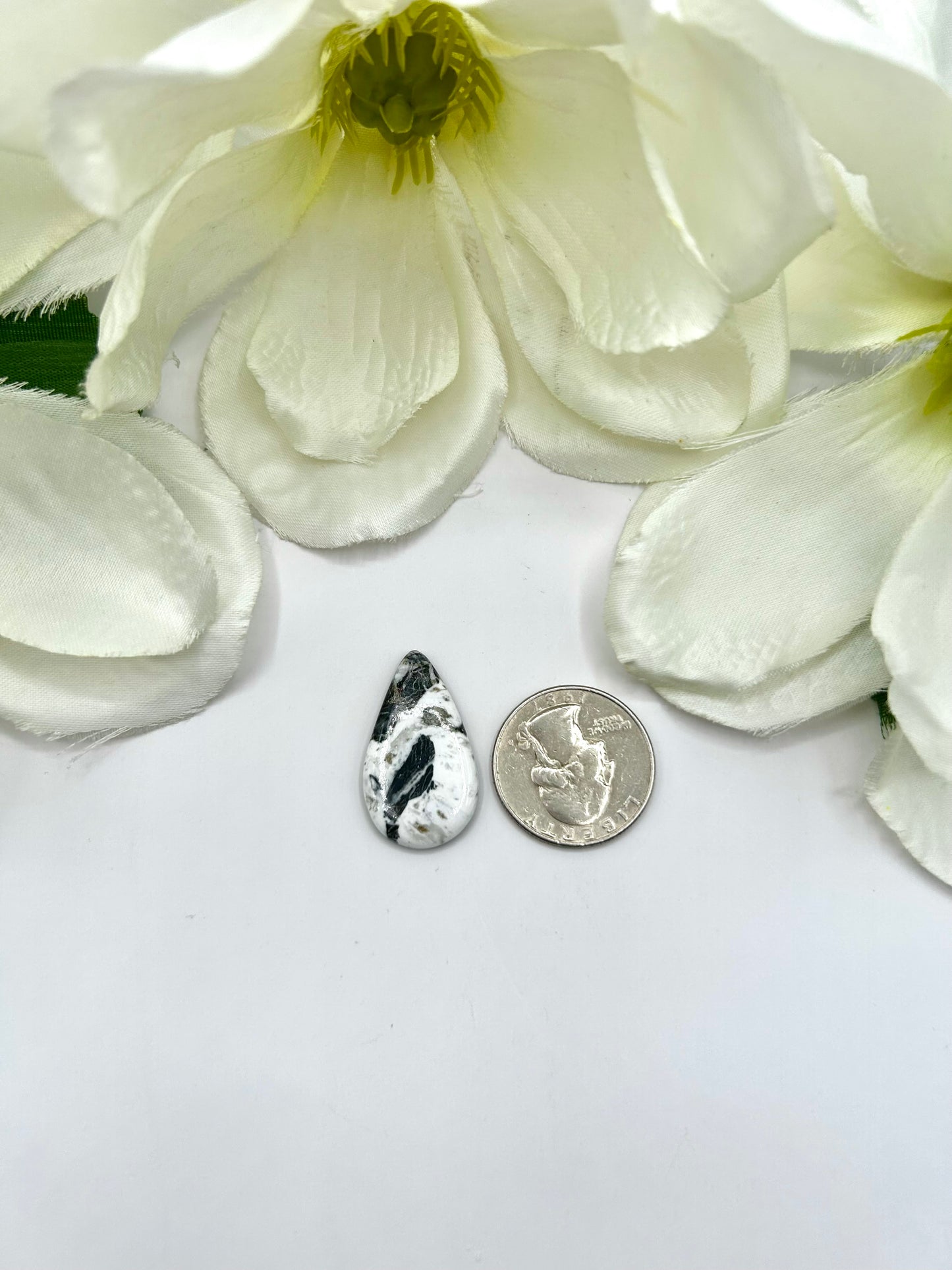 White Buffalo Cabs