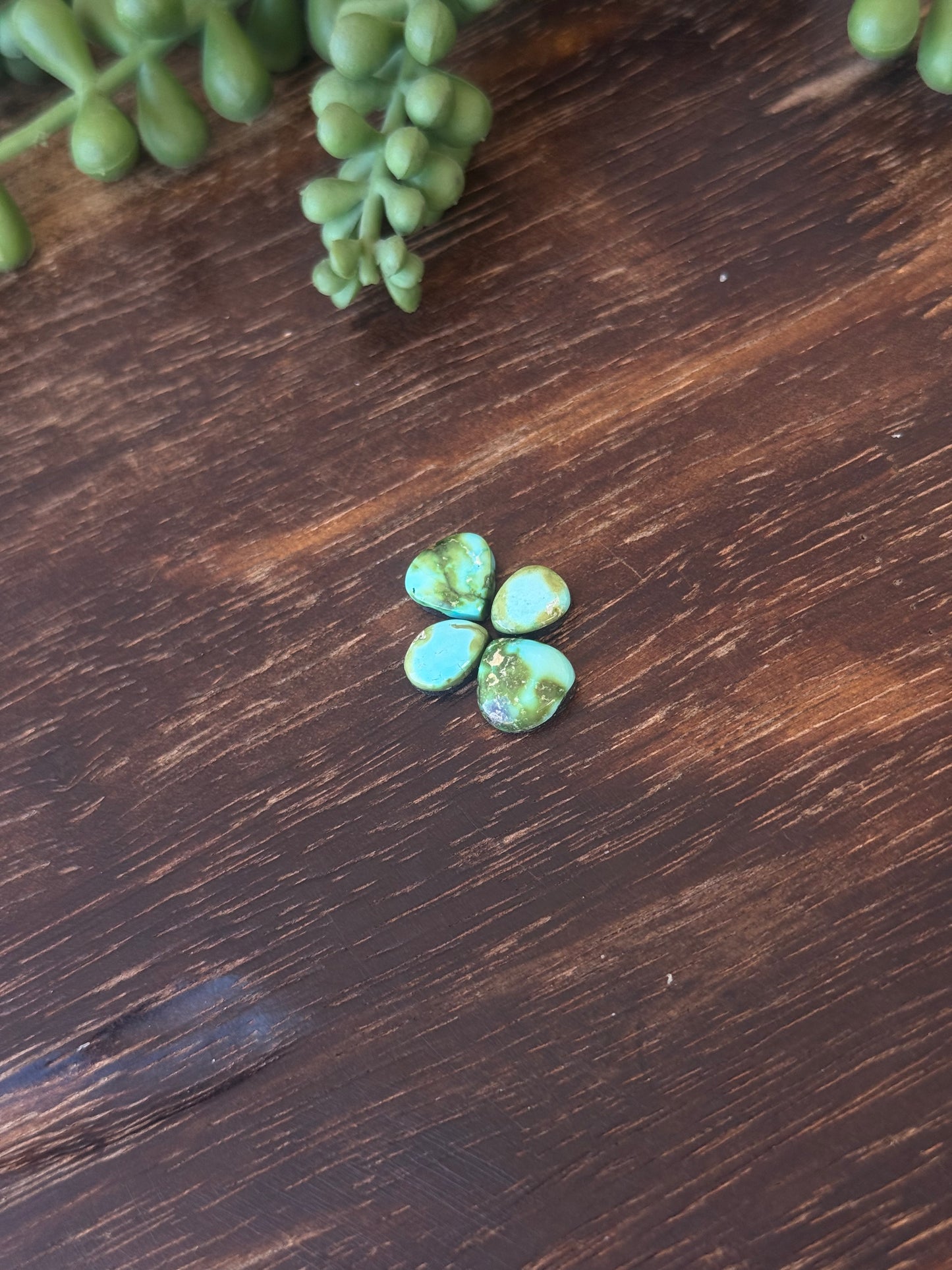 Sonoran Mountain Turquoise Cabs