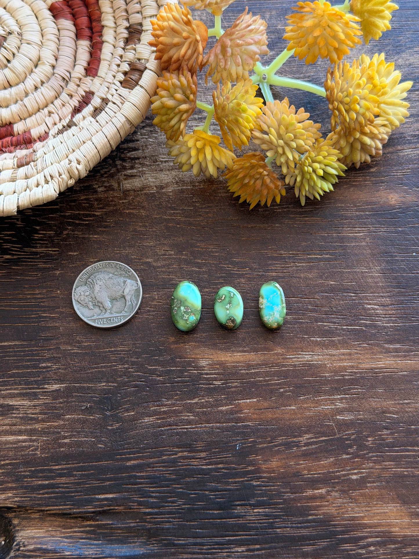 Sonoran Mountain Turquoise Cabs