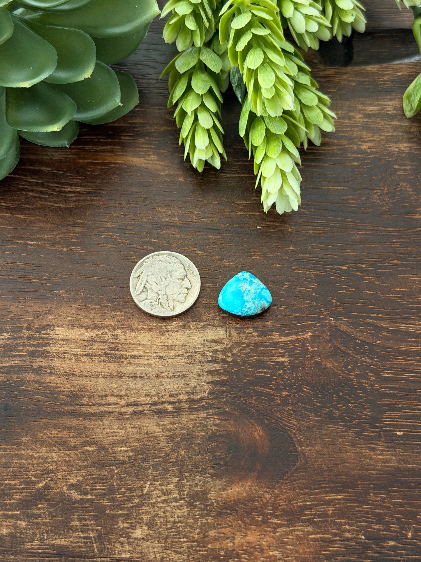 Blue Bird Turquoise Cab
