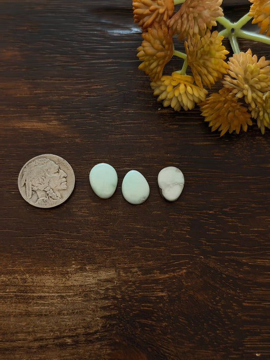 Paloma Variscite Cabs