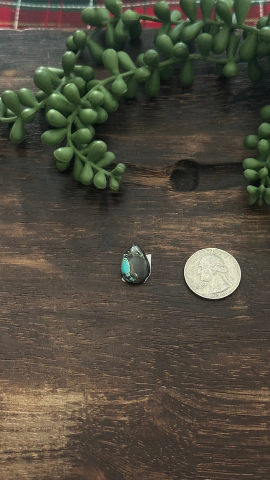 Black Jack Turquoise Cab