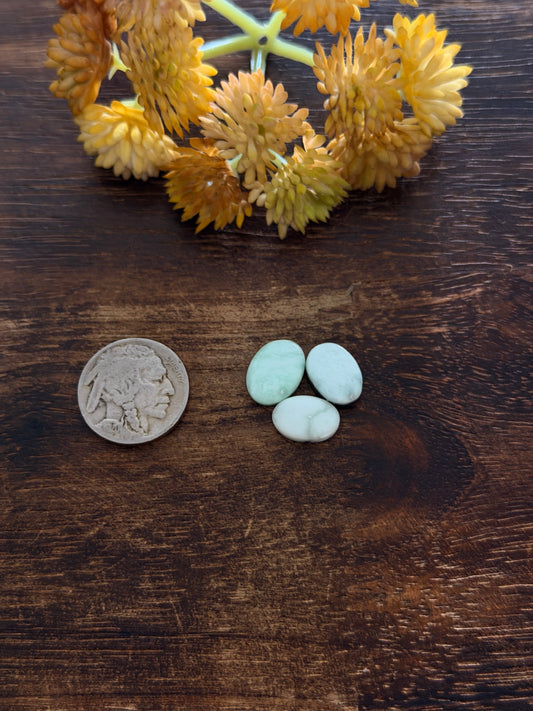 Paloma Variscite Cabs