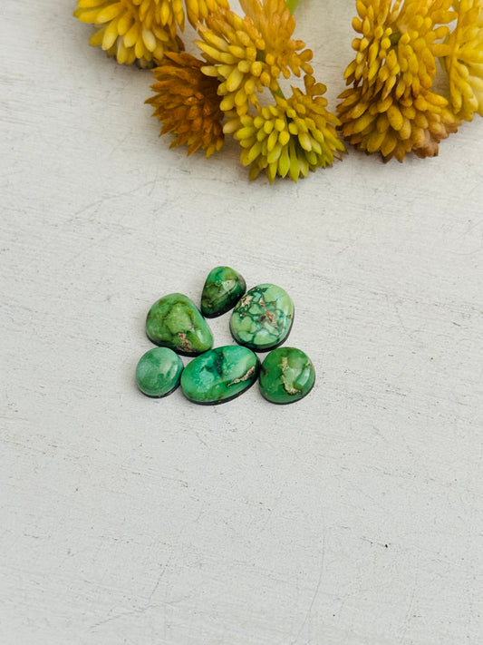 Natural Sonoran Gold Turquoise Cabs