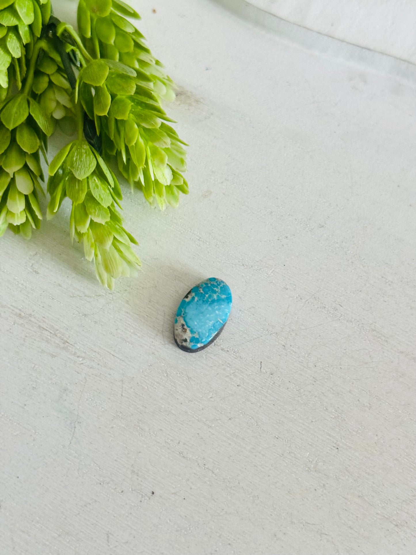 Blue Bird Turquoise Cab