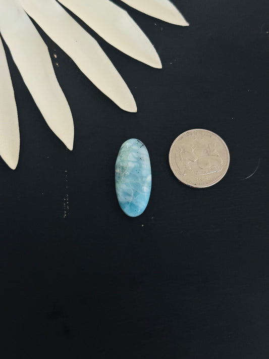 Larimar Cabs