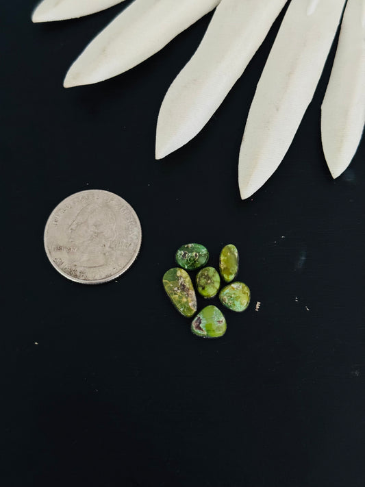 Natural Sonoran Gold Turquoise Cabs