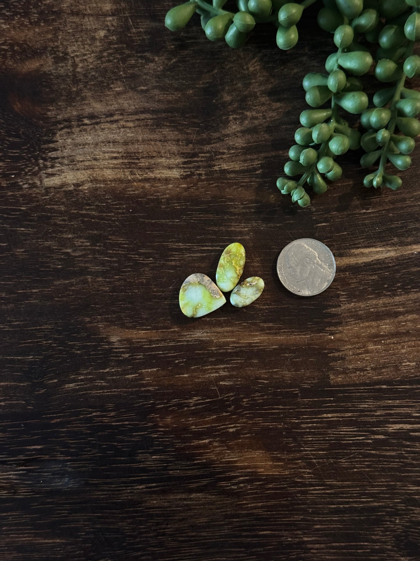 Palomino Variscite Cabs