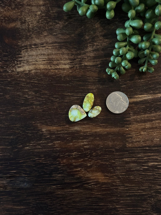Palomino Variscite Cabs
