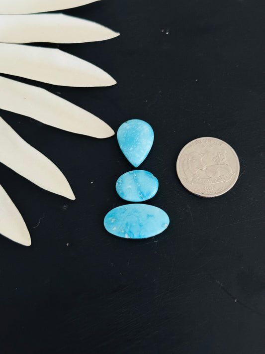 Blue Bird Turquoise Cabs
