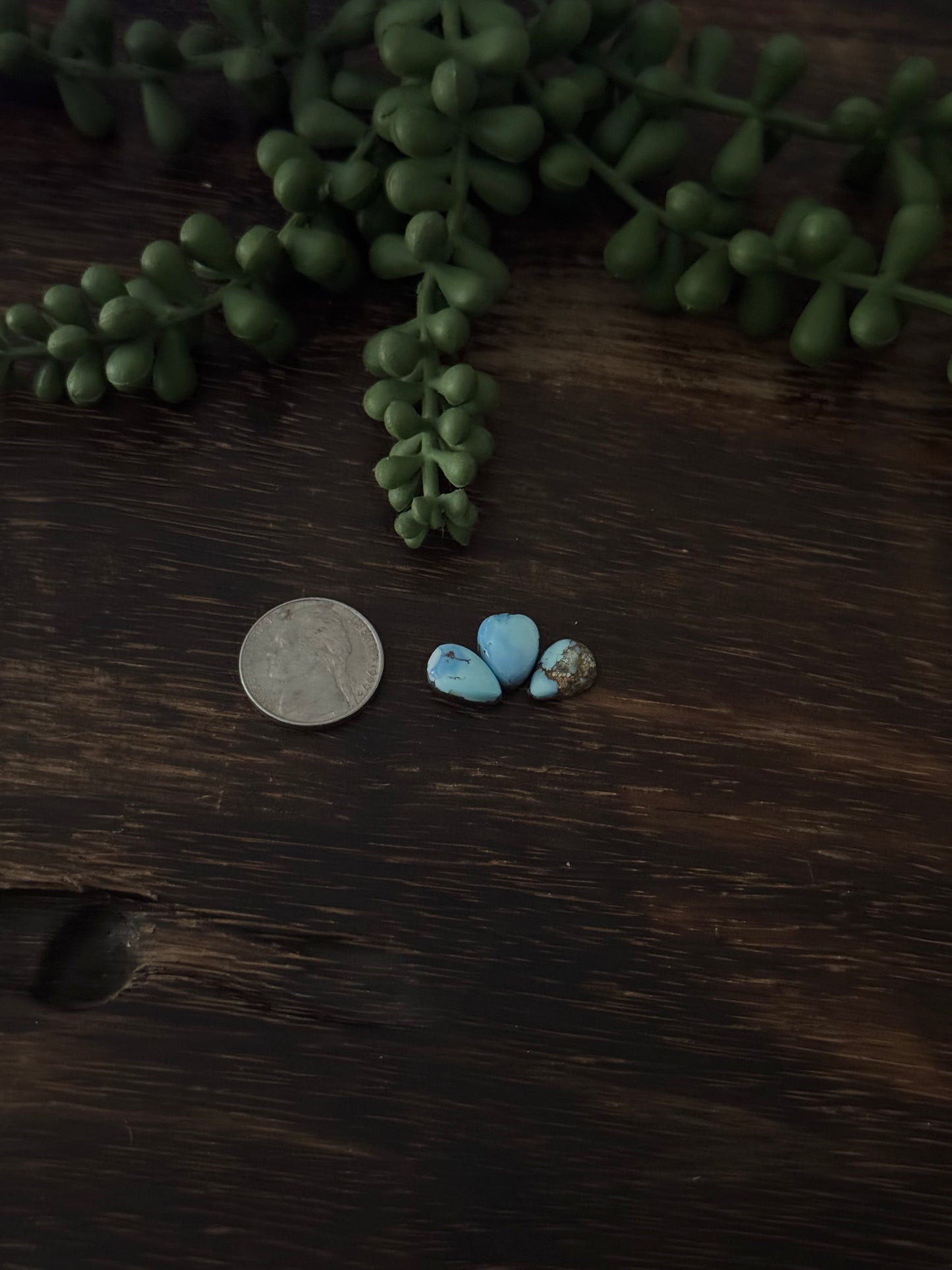 Golden Hills Turquoise Cabs