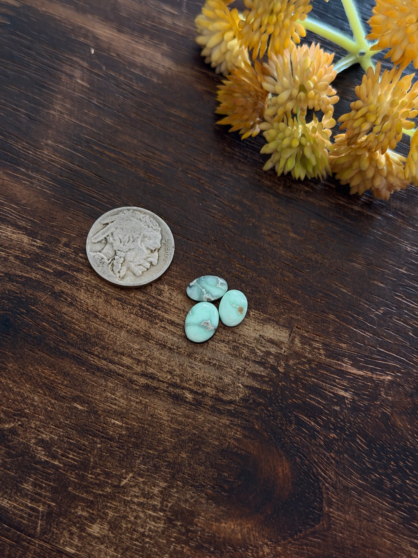 Paloma Variscite Cabs