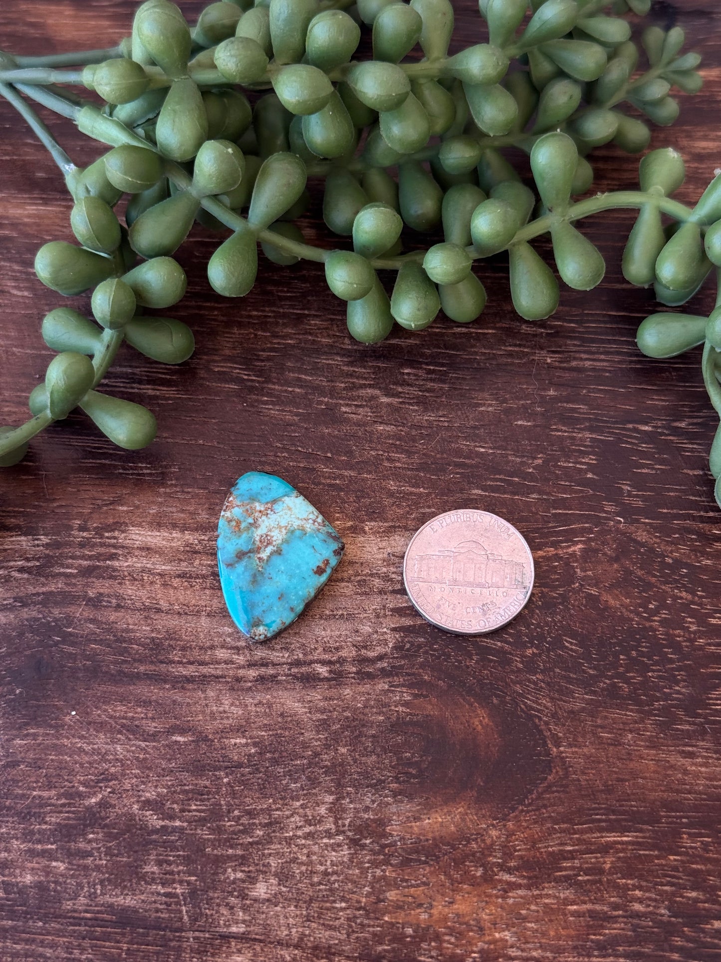 Kingman Turquoise Cab