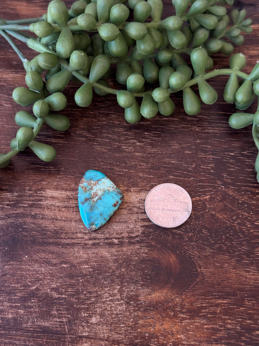 Kingman Turquoise Cab