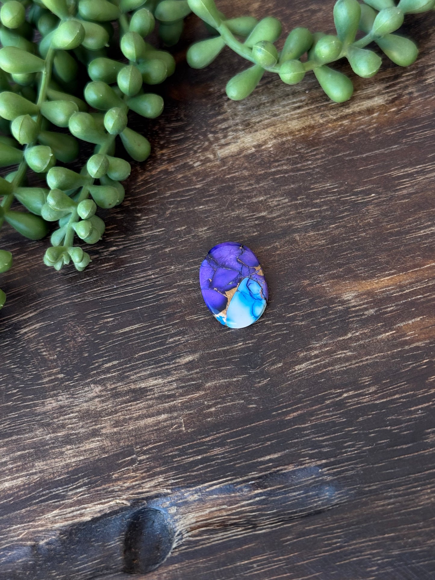 Purple Dahlia Composite Cabs