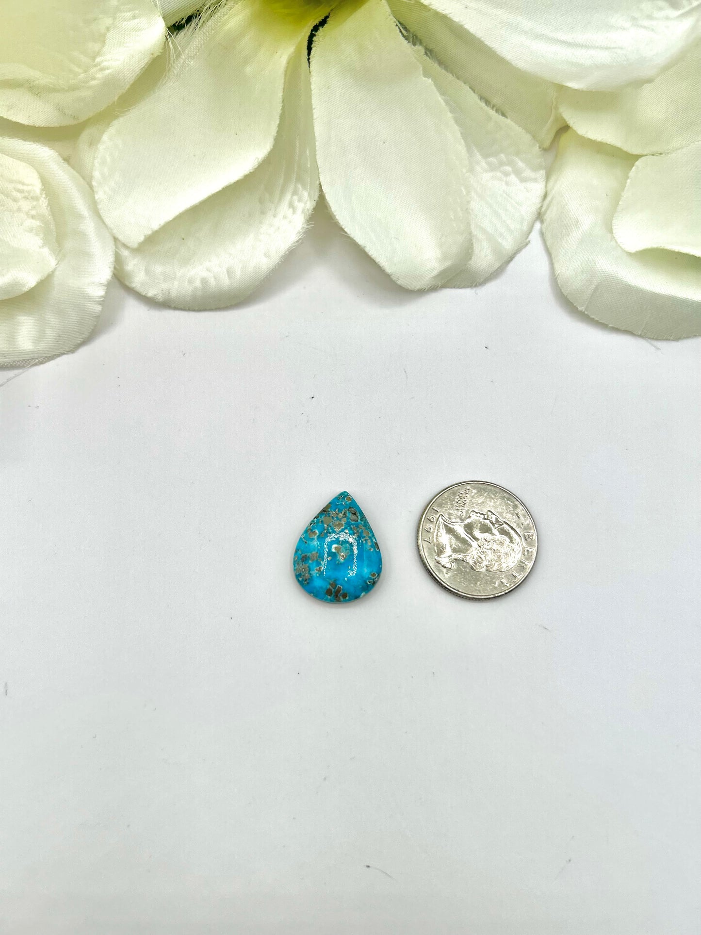 Blue Ridge Turquoise Cabs