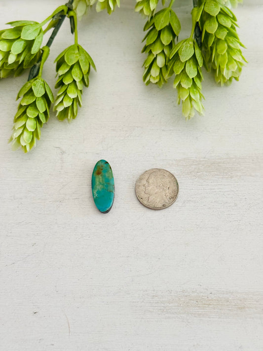 Kingman Turquoise Cab