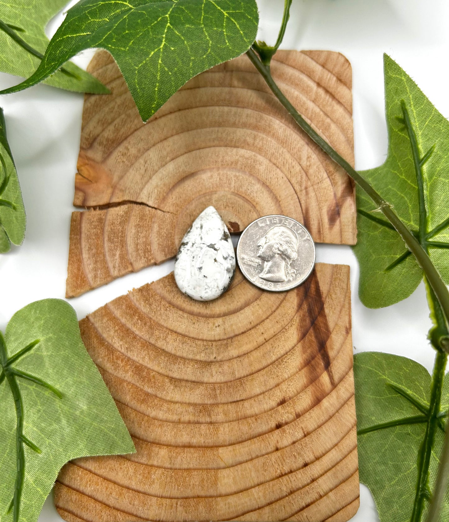 White Buffalo Cabs