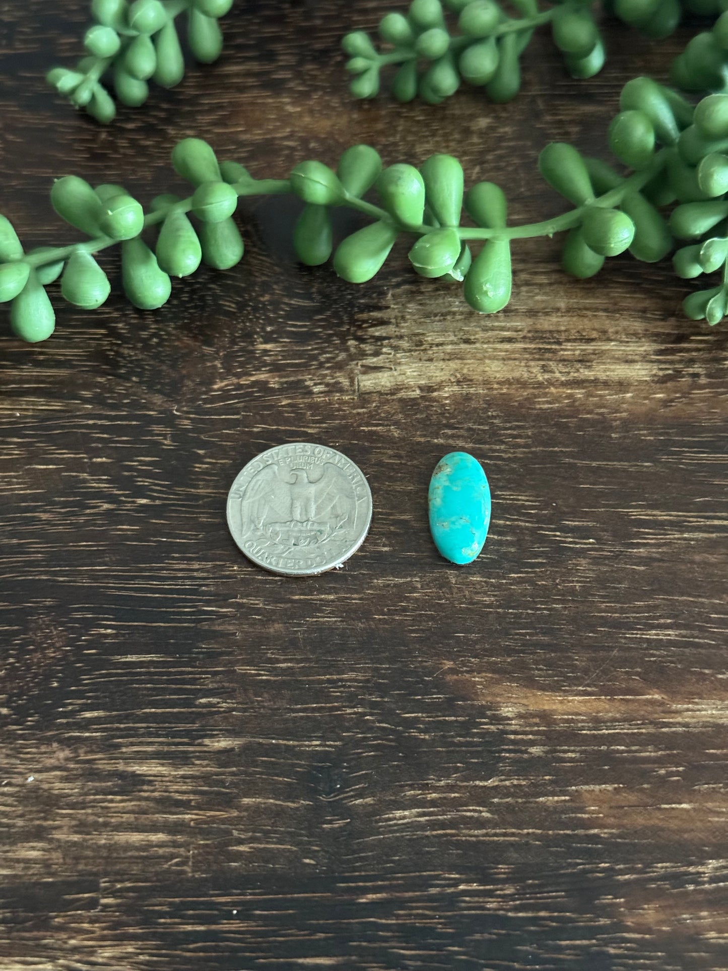 Kingman Turquoise Cab