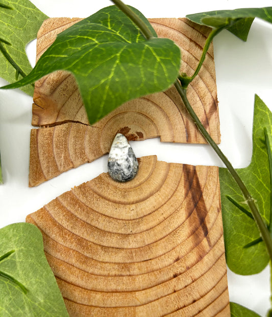 White Buffalo Cabs