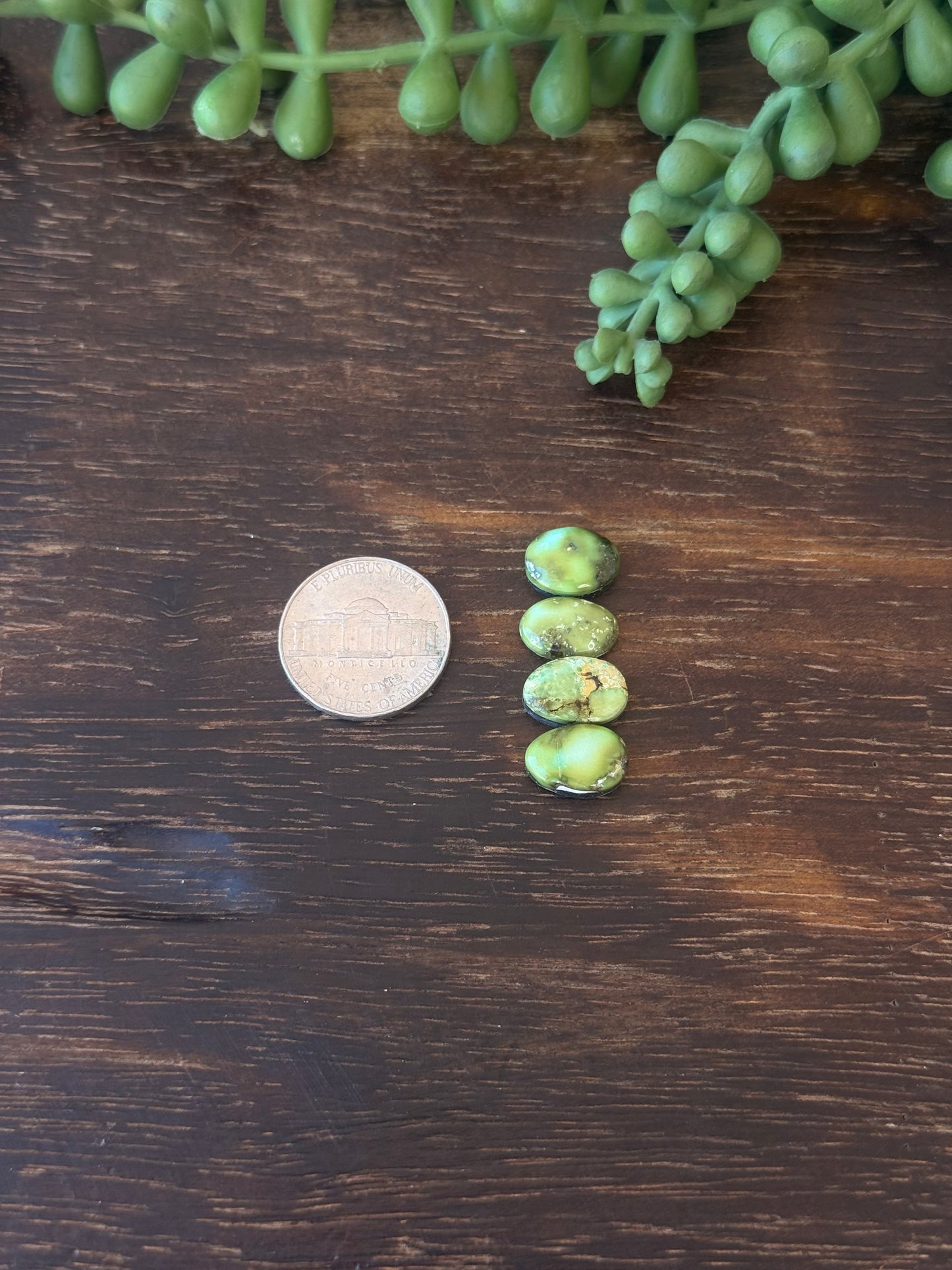 Sonoran Mountain Turquoise Cabs