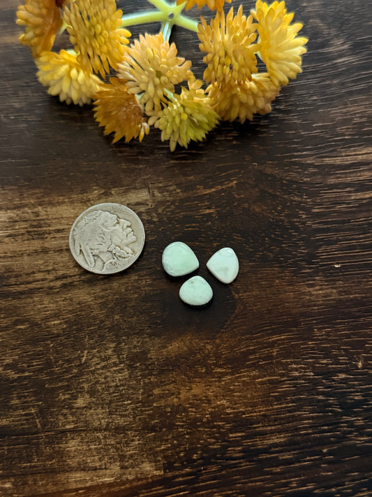 Paloma Variscite Cabs
