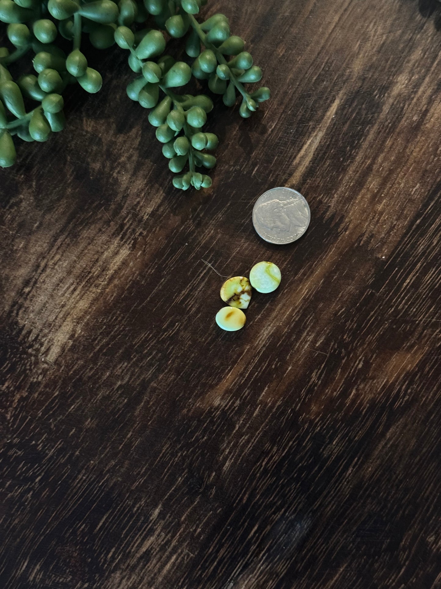 Palomino Variscite Cabs