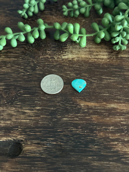 Kingman Turquoise Cab